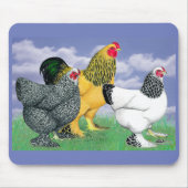 Drie Brahmas Muismat (Voorkant)