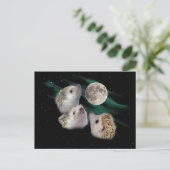 Drie Briefkaart van de Moon (Staand voorkant)
