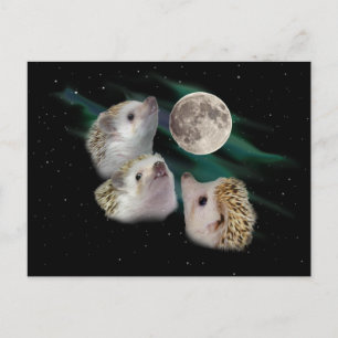 Drie Briefkaart van de Moon