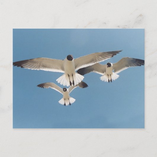 Drie Briefkaarten (Voorkant)