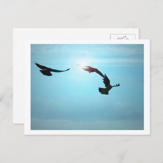 Drie Briefkaarten (Voorkant / Achterkant)