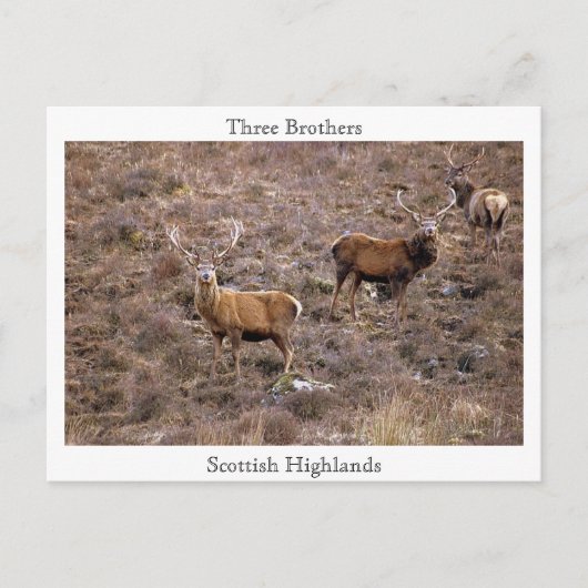 Drie Broers, Schotse Hooglanden Briefkaart (Voorkant)