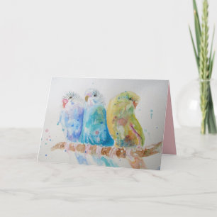 Drie Budgies zittend op een tak cute kaart