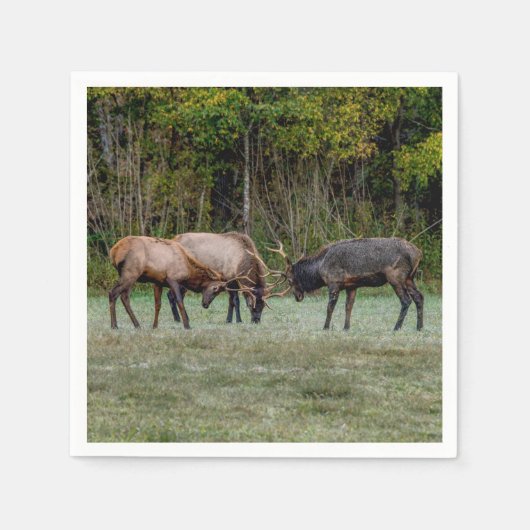 Drie Bull Elk Fight Servet (Voorkant)