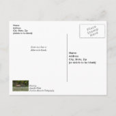 Drie bull elk vecht over jullie Briefkaart (Achterkant)