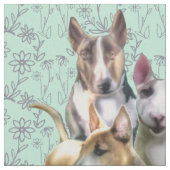 Drie bull Terriers Stof (Close Up)