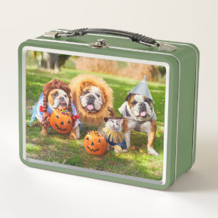 Drie Bulldogs in Verkleedingen