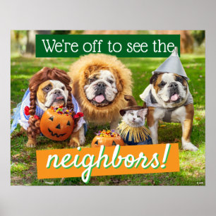 Drie Bulldogs in Verkleedingen Poster