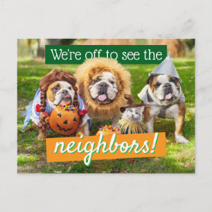 Drie Bulldogs in Verkleedingen Uitnodiging Briefkaart