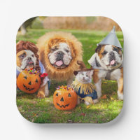 Drie Bulldogs in verkleedkostuum
