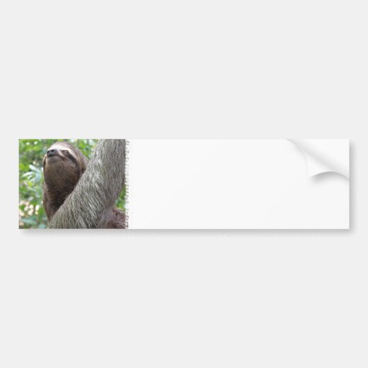 Drie Bumpersticker met een sleuf (Voorkant)