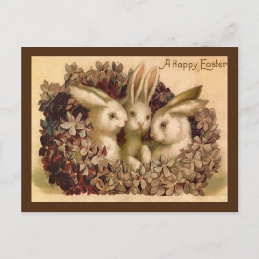 Drie Bunnies paasbegroet Briefkaart (Voorkant)