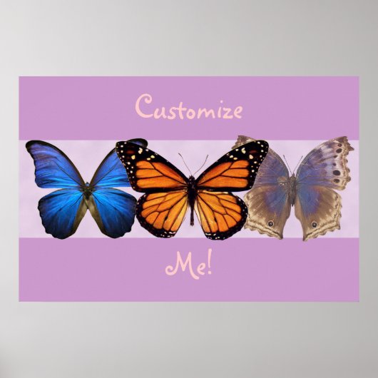 Drie Butterflies Druk Poster (Voorkant)