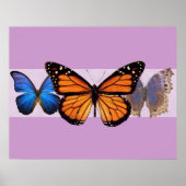 Drie Butterflies Print (Voorkant)
