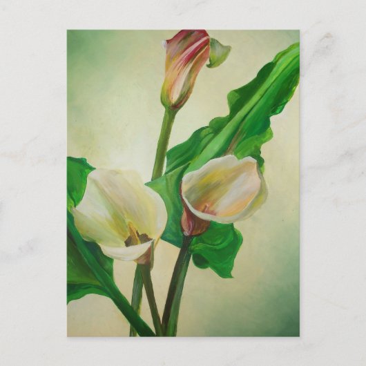 Drie Calla Lilies die botanisch acryl Briefkaart (Voorkant)