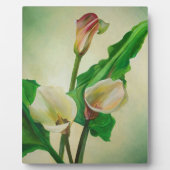 Drie Calla Lilies die botanisch acryl Fotoplaat (Voorkant)