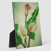 Drie Calla Lilies die botanisch acryl Fotoplaat (Zijkant)