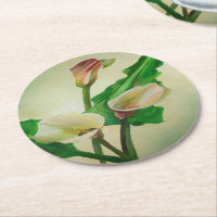 Drie Calla Lilies die botanisch acryl