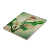 Drie Calla Lilies die botanisch acryl Tegeltje (Zijkant)