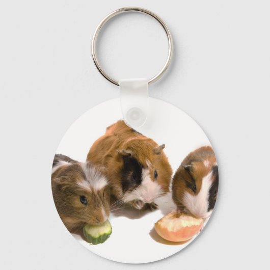 drie cavia's die eten, sleutelhanger (Voorkant)