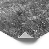 Drie Chiefs Piegan Blackfoot Indianen Poster (Hoek)