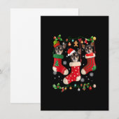 Drie Chihuahua in Sock-kerstkerstkerstkerstkerstho Kaart (Voorkant / Achterkant)