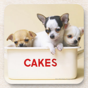 Drie chihuahua-puppies in taarttin drankjes onderzetter