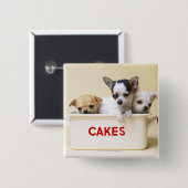 Drie chihuahua-puppies in taarttin vierkante button 5,1 cm (Voorkant /achterkant)
