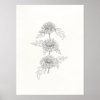 Drie Chrysanthema's afdrukken Poster