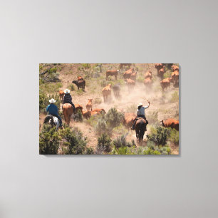 Drie cowboys en cowgirls die vee drijven canvas afdruk