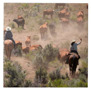 Drie cowboys en cowgirls die vee drijven tegeltje