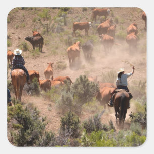 Drie cowboys en cowgirls die vee drijven vierkante sticker