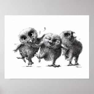 Drie Crazy Owls - Corujas - Witte sneeuwowl Poster