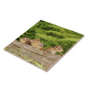 Drie Cute Baby Chipmunks Tegeltje (Zijkant)