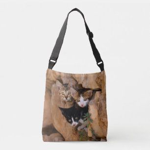 Drie Cute Curious Cat Kittens Funny Foto - on Crossbody Tas