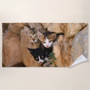 Drie Cute Curious Cat Kittens ziet een grappige fo Strandlaken