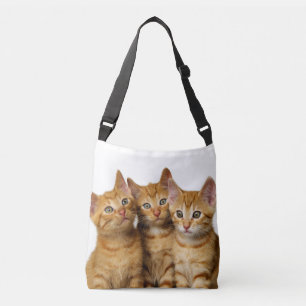 Drie Cute Ginger Cat Kittens Friends Head Foto - Crossbody Tas