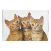 Drie Cute Ginger Cat Kittens Friends Head Foto - Kussensloop (Achterkant)
