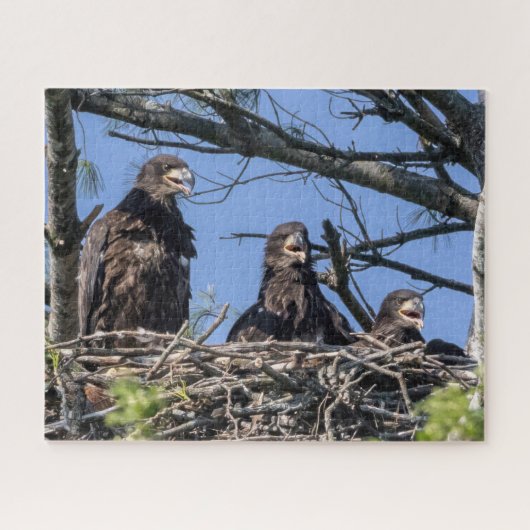Drie dezelfde legpuzzel (Horizontaal)