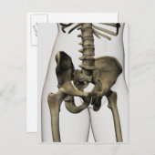 Drie dimensionale Uitzichten van Botten van de men Briefkaart (Voorkant / Achterkant)