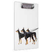 Drie Dobermans op de as Klembord (Rechts)