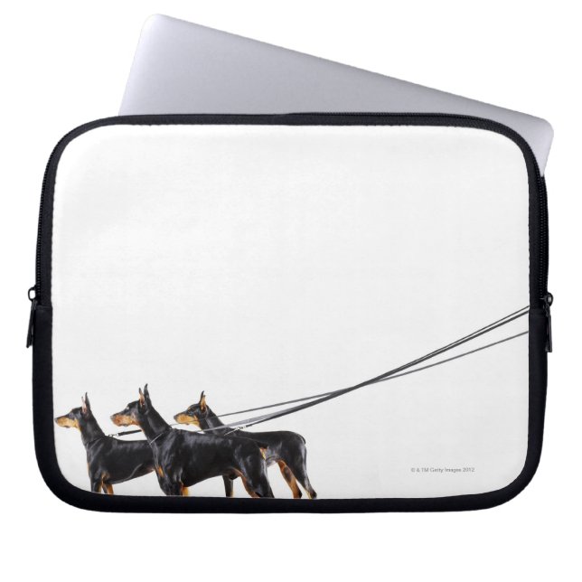 Drie Dobermans op de as Laptop Sleeve (Voorkant)