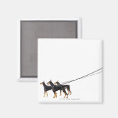 Drie Dobermans op de as Magneet (Voorkant / Achterkant)