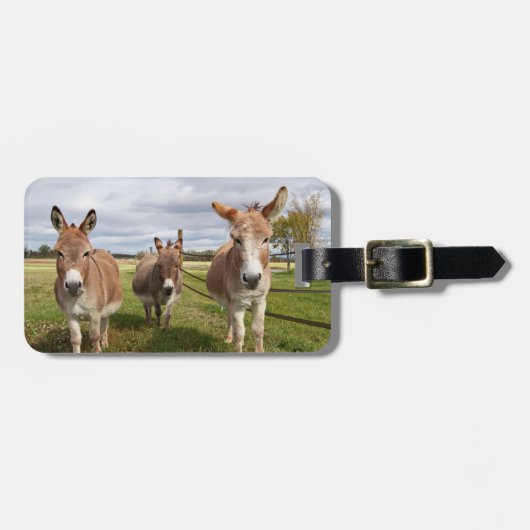 Drie Donkey's Bagagelabel (Voorkant horizontaal)