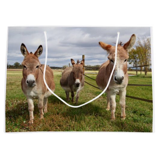 Drie Donkey's Large Cadeauzakje (Voorkant)