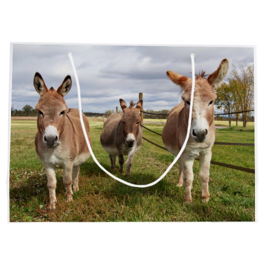 Drie Donkey's Large Cadeauzakje (Achterkant)