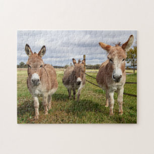 Drie Donkey's Legpuzzel