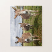Drie Donkey's Legpuzzel (Verticaal)
