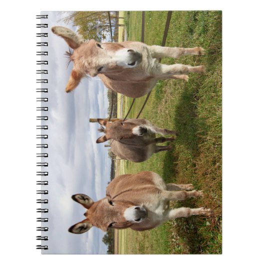 Drie Donkey's Notitieboek (Voorkant)