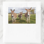 Drie Donkey's Rechthoekige Sticker (Tas)